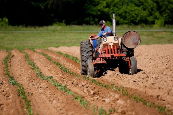 Agricultural Sciences (M.Agr.) - Teacher Development Specialization