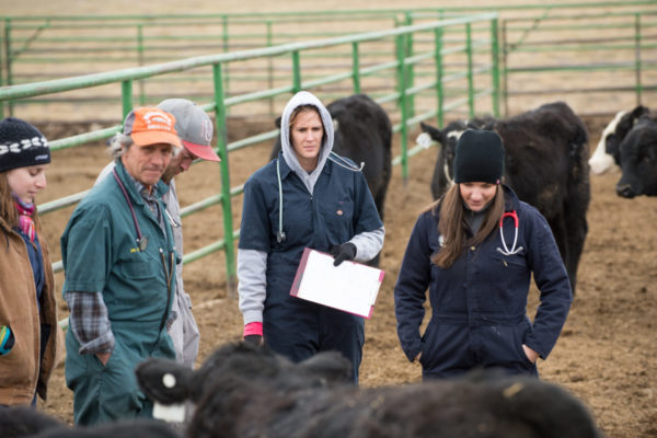 Master of Science (MS) in Animal Sciences